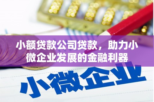 中卫小额贷款公司贷款，助力小微企业发展的金融利器