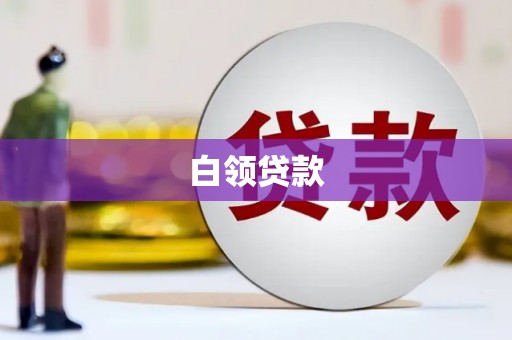 中卫白领贷款