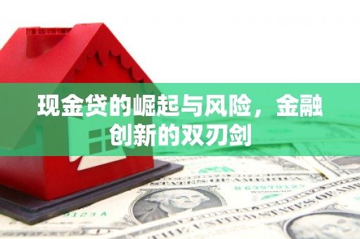 中卫现金贷的崛起与风险，金融创新的双刃剑
