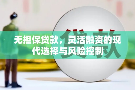 中卫无担保贷款，灵活融资的现代选择与风险控制