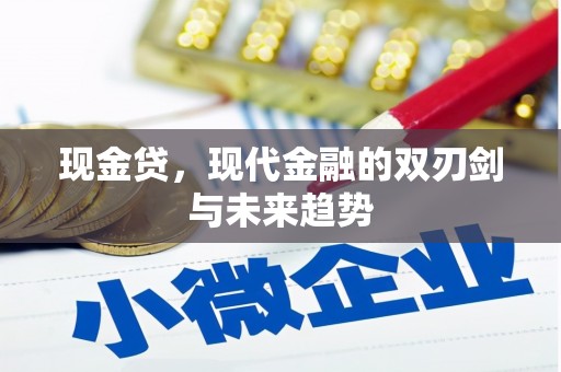 中卫现金贷，现代金融的双刃剑与未来趋势