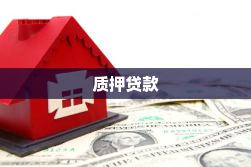 中卫质押贷款