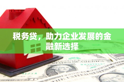 中卫税务贷，助力企业发展的金融新选择