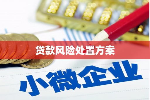 中卫贷款风险处置方案