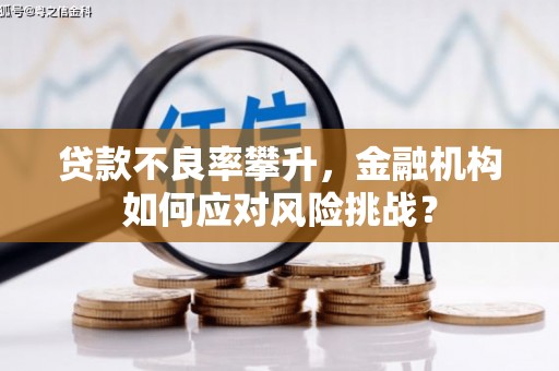 中卫贷款不良率攀升，金融机构如何应对风险挑战？