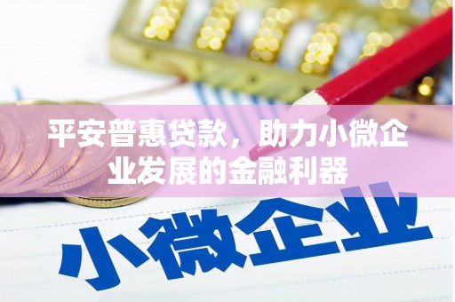 中卫平安普惠贷款，助力小微企业发展的金融利器