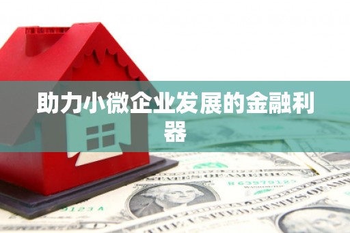 中卫助力小微企业发展的金融利器