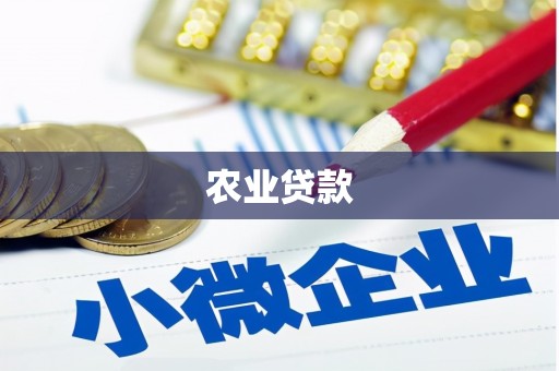 中卫农业贷款