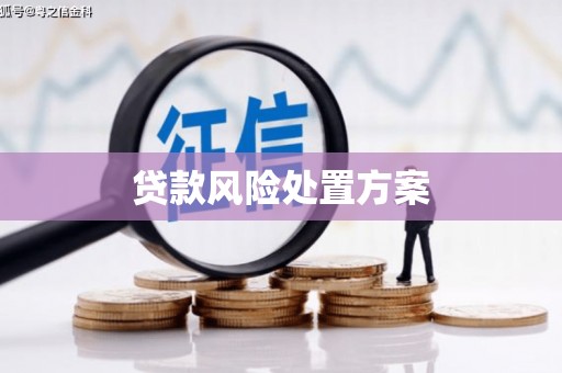中卫贷款风险处置方案