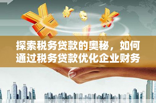 中卫探索税务贷款的奥秘，如何通过税务贷款优化企业财务