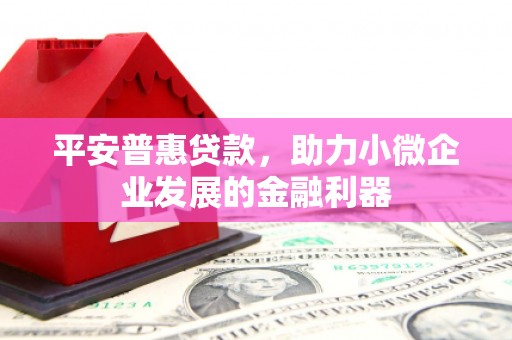 中卫平安普惠贷款，助力小微企业发展的金融利器