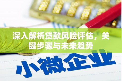 中卫深入解析贷款风险评估，关键步骤与未来趋势