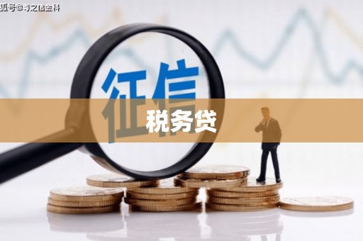 中卫税务贷