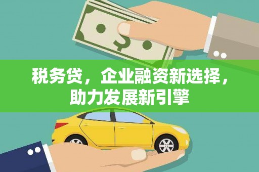 中卫税务贷，企业融资新选择，助力发展新引擎