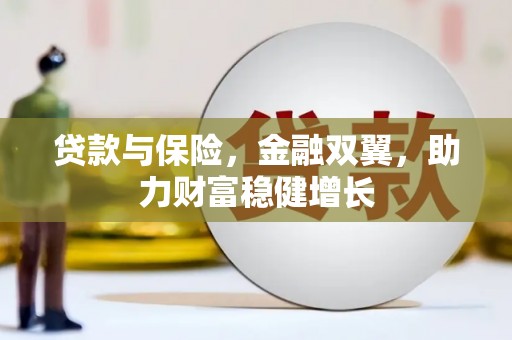 中卫贷款与保险，金融双翼，助力财富稳健增长