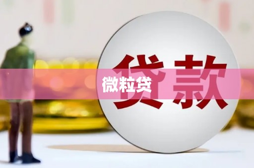 中卫微粒贷