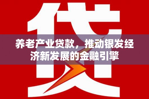 中卫养老产业贷款，推动银发经济新发展的金融引擎