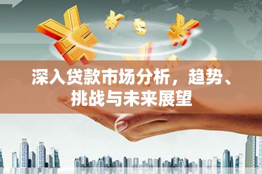 中卫深入贷款市场分析，趋势、挑战与未来展望