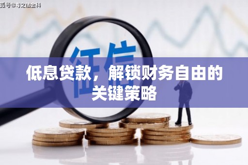 中卫低息贷款，解锁财务自由的关键策略