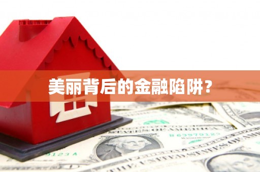 中卫美丽背后的金融陷阱？