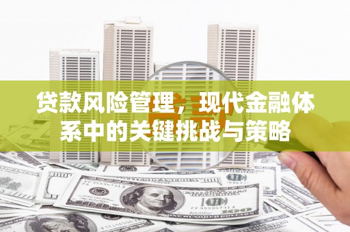 中卫贷款风险管理，现代金融体系中的关键挑战与策略
