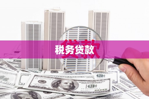 中卫税务贷款