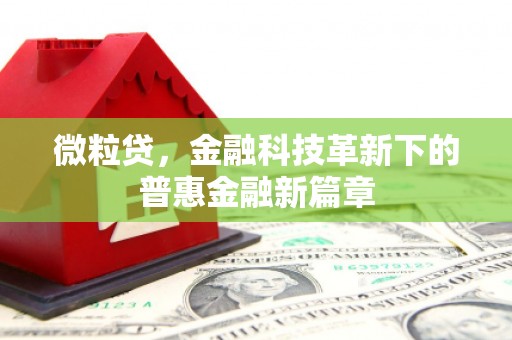 中卫微粒贷，金融科技革新下的普惠金融新篇章