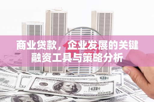 中卫商业贷款，企业发展的关键融资工具与策略分析