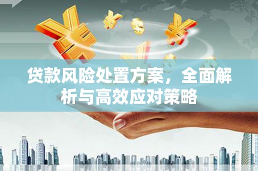中卫贷款风险处置方案，全面解析与高效应对策略