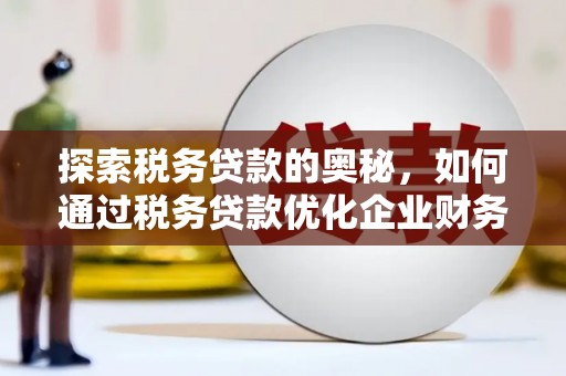中卫探索税务贷款的奥秘，如何通过税务贷款优化企业财务