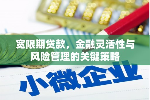 中卫宽限期贷款，金融灵活性与风险管理的关键策略