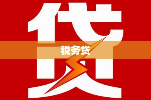 中卫税务贷