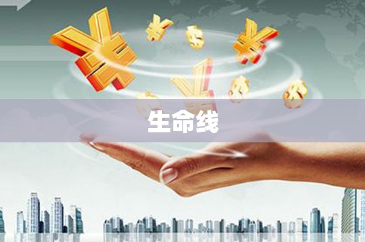 中卫生命线