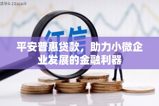 中卫平安普惠贷款，助力小微企业发展的金融利器