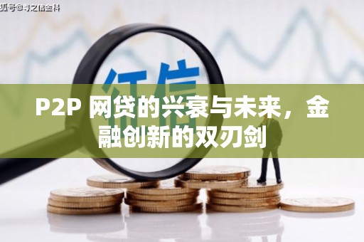 中卫P2P 网贷的兴衰与未来，金融创新的双刃剑