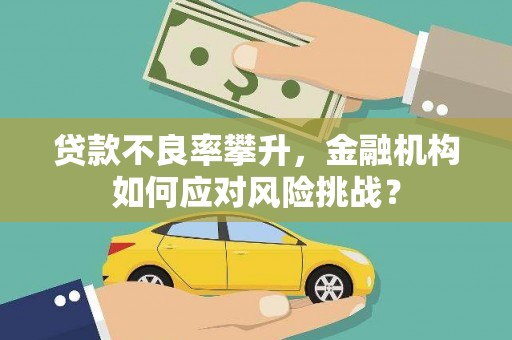 中卫贷款不良率攀升，金融机构如何应对风险挑战？