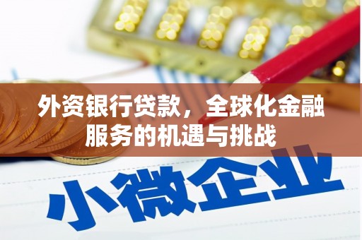 中卫外资银行贷款，全球化金融服务的机遇与挑战