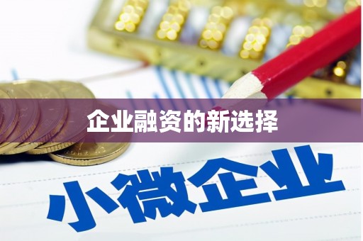中卫企业融资的新选择