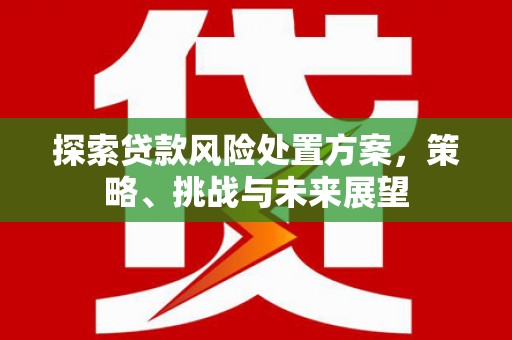 中卫探索贷款风险处置方案，策略、挑战与未来展望