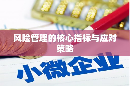 中卫风险管理的核心指标与应对策略