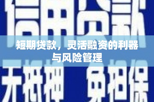 中卫短期贷款，灵活融资的利器与风险管理