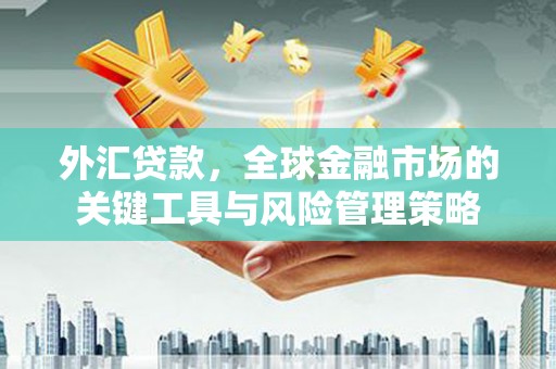 中卫外汇贷款，全球金融市场的关键工具与风险管理策略