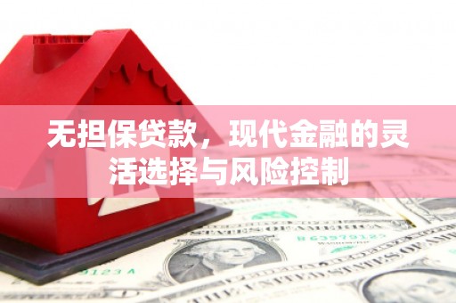 中卫无担保贷款，现代金融的灵活选择与风险控制