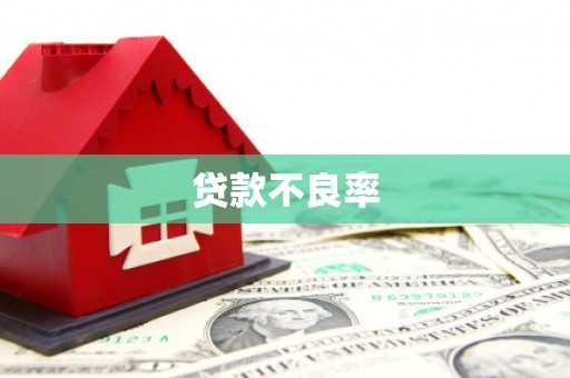 中卫贷款不良率