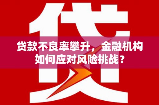 中卫贷款不良率攀升，金融机构如何应对风险挑战？