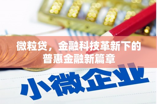 中卫微粒贷，金融科技革新下的普惠金融新篇章