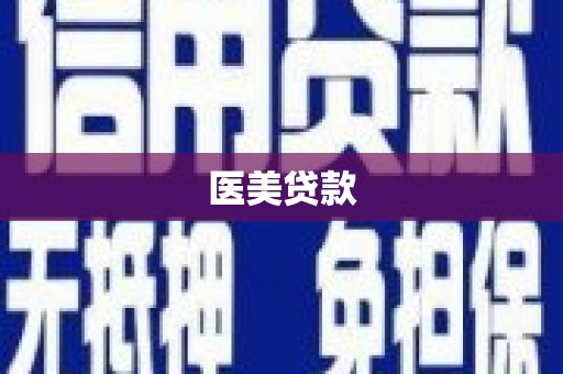 中卫医美贷款