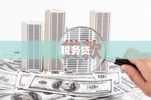 中卫税务贷