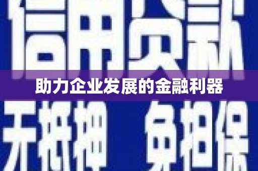 中卫助力企业发展的金融利器