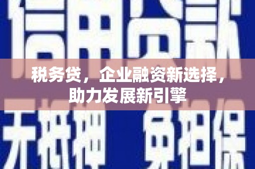 中卫税务贷，企业融资新选择，助力发展新引擎